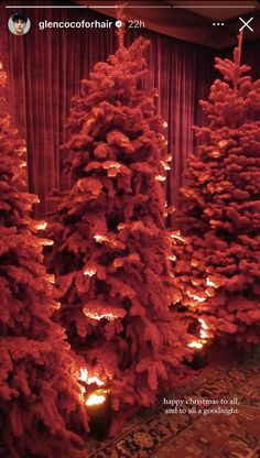 red christmas trees are lit up with candles