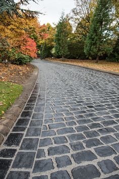 an empty brick road surrounded by trees in the fall