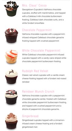 an info sheet with different types of cupcakes and chocolate frosting on it