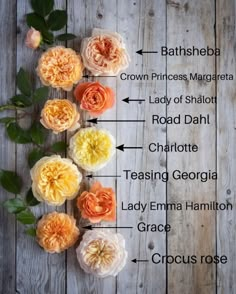 an arrangement of flowers arranged on a wooden surface with the names of each flower and their corresponding parts labeled