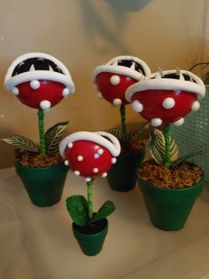 three small plants with red and white mushrooms on them