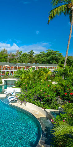 an outdoor swimming pool surrounded by palm trees