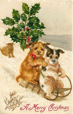 a christmas card with two dogs on sled and holly tree in the background,