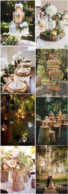 many different pictures with candles and flowers on them, including trees in the background as well as moss