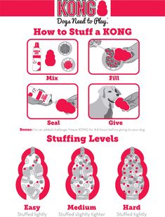 the instructions for how to use kong's dog training system, which is also available in