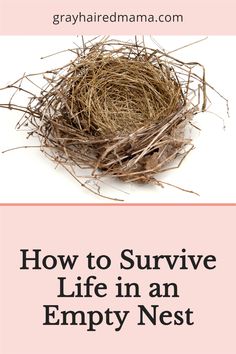 This video will give you tips to surviving and thriving in your empty nest whether you are a new empty nester or your youngest child moved out a decade ago. Empty Nesters, Empty Nest