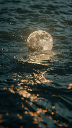 a full moon rising above the water in an ocean with sunlight reflecting off it's surface