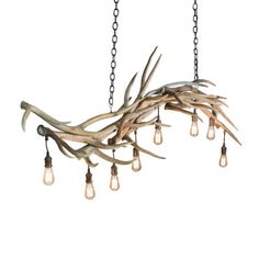 the antler chandelier is hanging from chains with light bulbs attached to it