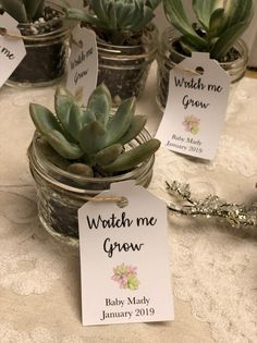 small potted succulents with labels on them are sitting on a table