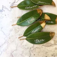 four green leaves with names on them sitting on a marble counter top next to each other