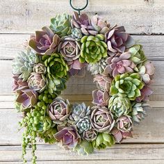 a wreath made out of succulents hanging on a wall