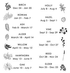 the dates for fall and thanksgiving events are shown in black and white, with leaves on them