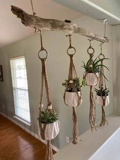 three hanging planters with plants in them