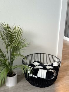 a black and white basket sitting next to a potted plant on top of a hard wood floor