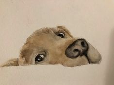 a drawing of a dog's head peeking out from behind a wall