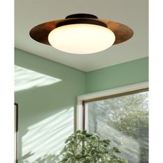 a ceiling light in a room with a potted plant