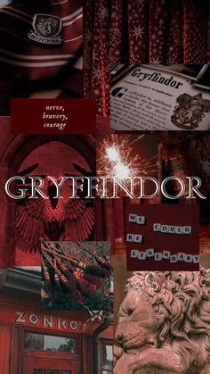 the cover of greyfindor's book, featuring images of red and black items