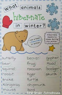 what animals hibernate in winter? poster with words and pictures on white paper