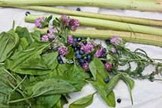 some purple flowers and green leaves on a table