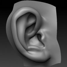 Perfect Ear 3D Model available on Turbo Squid, the world Turmeric Vitamins, Cotton Ball, Massage, Vitamins