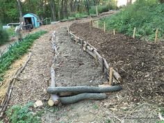 the garden is ready to be planted and used as an outdoor space for wildlife viewing