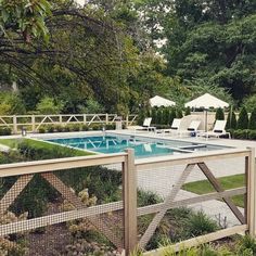 an outdoor swimming pool surrounded by greenery and umbrellas