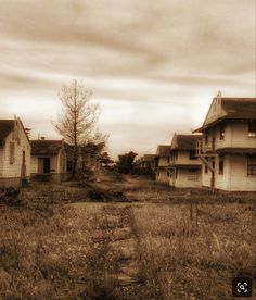 an old abandoned house in the middle of nowhere