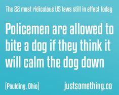 a blue poster with the words policemen are allowed to bite a dog if they think it will calm the dog down