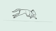 a line drawing of a running horse