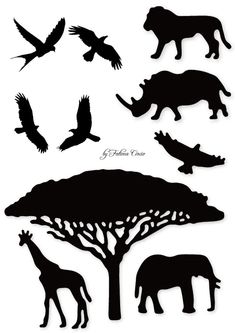 the silhouettes of animals and birds are shown in black against a white background,