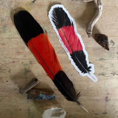 two red and black feathers sitting on top of a wooden table next to other items