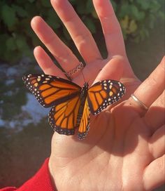 a butterfly that is sitting on someone's hand