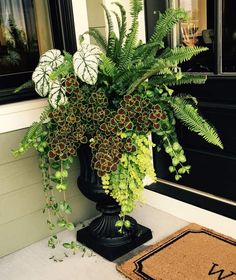 a black vase filled with lots of green plants sitting on top of a door mat