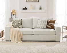 a living room scene with focus on the couch and throw pillows in the foreground