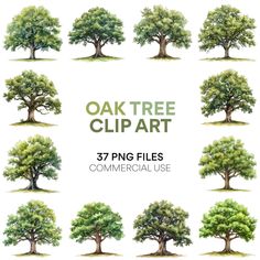 the oak tree clip art is shown in different styles