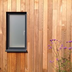 a screen shot of a window on a wooden wall with purple flowers in the foreground