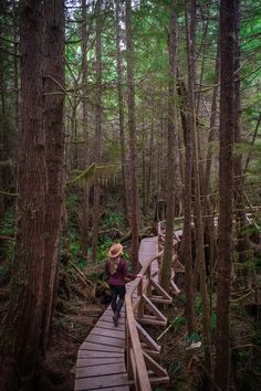 a woman walking across a wooden bridge in the woods on a path that is surrounded by tall trees