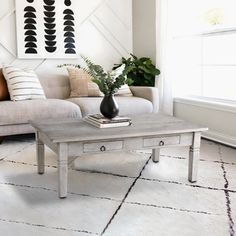 a living room with a couch, coffee table and potted plant in the corner