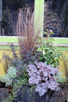 a planter filled with lots of different types of plants