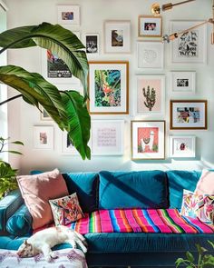 a living room filled with furniture and lots of framed pictures on the wall above it