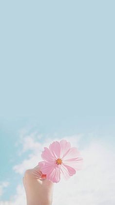 a hand holding a pink flower in front of a blue and white sky with clouds