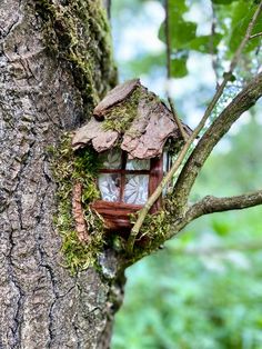 a birdhouse built into the side of a tree