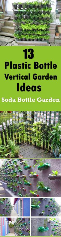 several different pictures of plants and flowers in the garden with text that reads 13 plastic bottle vertical garden ideas