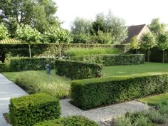 an outdoor garden with hedges and grass