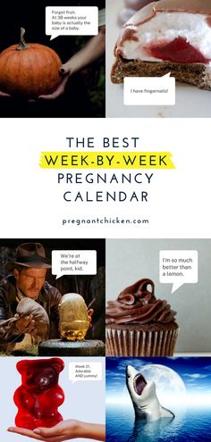 the best week - by - week pregancy calendar for 2013 is now available