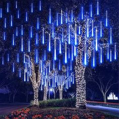 the trees are lit up with blue lights