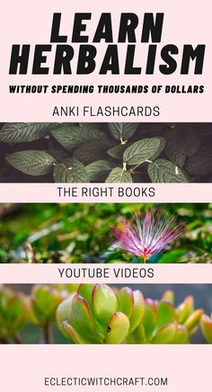 three different types of plants with text that reads learn herbism without spending thousands of dollars