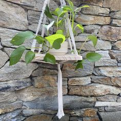 a potted plant hanging from a rope in front of a stone wall