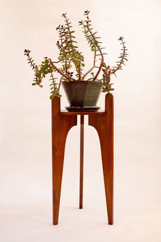 a potted plant sitting on top of a wooden stand