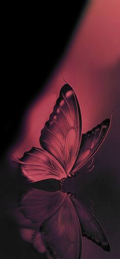 a purple butterfly is flying over the water with its wings spread out and it's reflection in the water